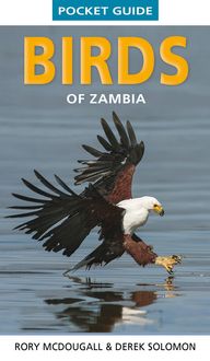 Produktbild: Pocket Guide Birds of Zambia
