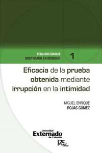 Produktbild: Eficacia de la prueba obtenida mediante irrupci&oacute;n en la intimidad
