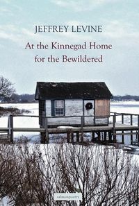 Produktbild: At the Kinnegad Home for the Bewildered