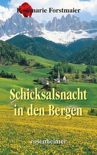 Produktbild: Schicksalsnacht in den Bergen