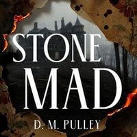 Produktbild: Stone Mad