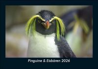 Produktbild: Pinguine & Eisb&auml;ren 2026 Fotokalender DIN A5
