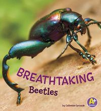 Produktbild: Breathtaking Beetles