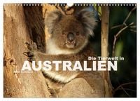 Produktbild: Die Tierwelt in Australien (Wandkalender 2026 DIN A3 quer), CALVENDO Monatskalender
