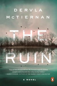 Produktbild: The Ruin