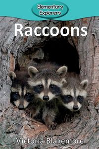 Produktbild: Raccoons