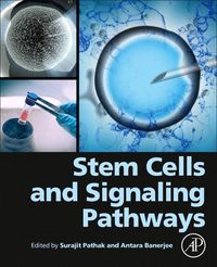 Produktbild: Stem Cells and Signaling Pathways