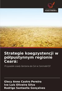 Produktbild: Strategie koegzystencji w p&oacute;&iquest;pustynnym regionie Cear&aacute;: