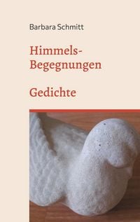 Produktbild: Himmels-Begegnungen