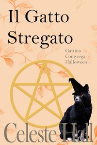 Produktbild: Il Gatto Stregato