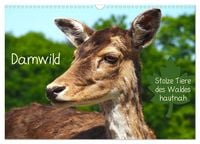 Produktbild: Damwild - stolze Tiere des Waldes hautnah (Wandkalender 2026 DIN A3 quer), CALVENDO Monatskalender
