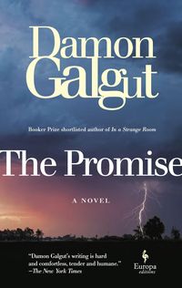 Bild vom Artikel The Promise: A Novel (Booker Prize Winner) vom Autor Damon Galgut