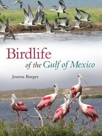 Produktbild: Burger, J: Birdlife of the Gulf of Mexico