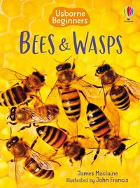 Produktbild: Bees and Wasps