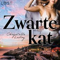 Produktbild: Zwarte kat &ndash; Erotisch verhaal