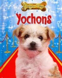 Produktbild: Yochons