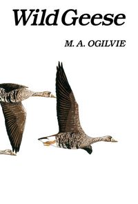 Produktbild: Wild Geese