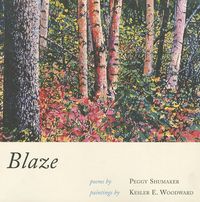 Produktbild: Blaze