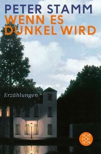 Produktbild: Wenn es dunkel wird