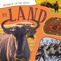 Produktbild: By Land