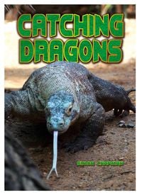 Produktbild: Catching Dragons