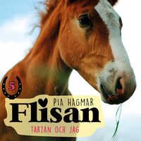 Produktbild: Tarzan och jag