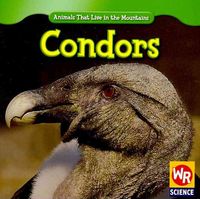 Produktbild: Condors