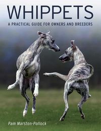 Produktbild: Whippets