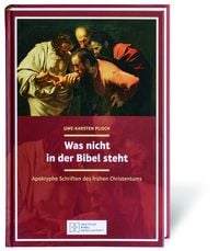 Produktbild: Was nicht in der Bibel steht