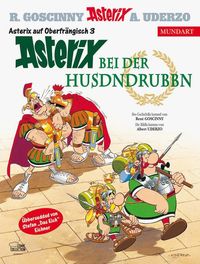 Bild vom Artikel Asterix Mundart Oberfränkisch III vom Autor René Goscinny