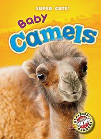 Produktbild: Baby Camels