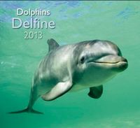 Produktbild: Delfine A&I 2013