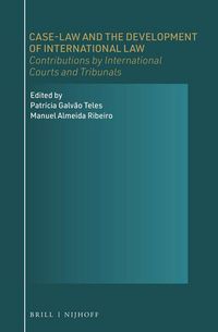 Produktbild: Case-Law and the Development of International Law