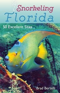 Produktbild: Snorkeling Florida