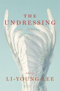 Produktbild: The Undressing