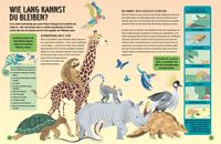 Eine kurze Geschichte von fast allem – Ausgabe für junge Leser