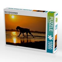 Produktbild: CALVENDO Puzzle Boxer im Sonnenuntergang 1000 Teile Puzzle quer | 1000 Teile Lege-Gr&ouml;&szlig;e 64 &times; 48 cm Foto-Puzzle f&uuml;r gl&uuml;ckliche Stunden