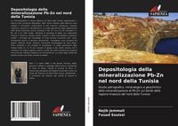 Produktbild: Depositologia della mineralizzazione Pb-Zn nel nord della Tunisia