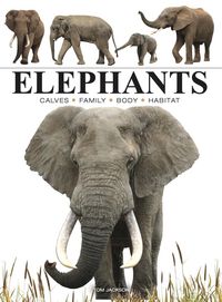 Produktbild: Elephants