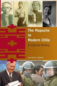 Produktbild: The Mapuche in Modern Chile