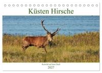 Produktbild: K&uuml;sten Hirsche - Rotwild auf dem Dar&szlig; (Tischkalender 2027 DIN A5 quer), CALVENDO Monatskalender