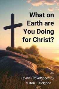 Produktbild: What on Earth are you Doing for Christ?