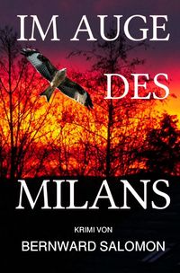 Produktbild: Im Auge des Milans