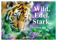 Produktbild: Wild.Edel.Stark. - Im Bann der Tiger (Wandkalender 2027 DIN A3 quer), CALVENDO Monatskalender