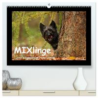 Produktbild: MIXlinge (hochwertiger Premium Wandkalender 2027 DIN A2 quer), Kunstdruck in Hochglanz