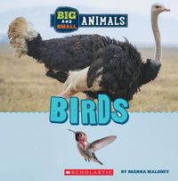 Produktbild: Birds (Wild World: Big and Small Animals)