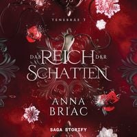 Produktbild: Das Reich der Schatten &ndash; Tenebr&auml;e 3