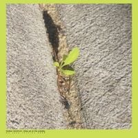 Produktbild: Close-up On The Outside