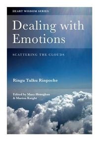Produktbild: Dealing with Emotions