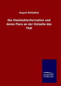 Produktbild: Die Steinkohlenformation und deren Flora an der Ostseite des T&ouml;di